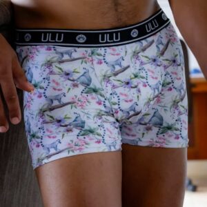Lounging Lemurs Boxer Brief