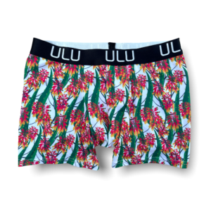 Aloe Aloe Boxer Brief (only XL left)