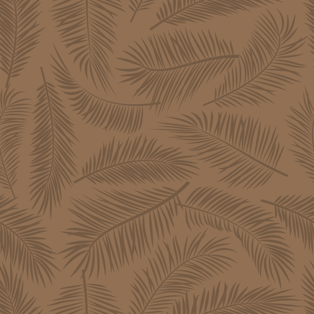 Nude Feathers Cheeky Bikini (dark) - Image 4